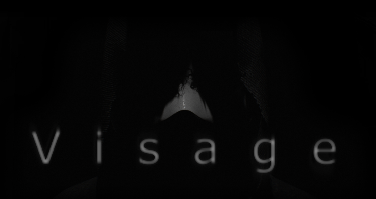 Visage Steam Account