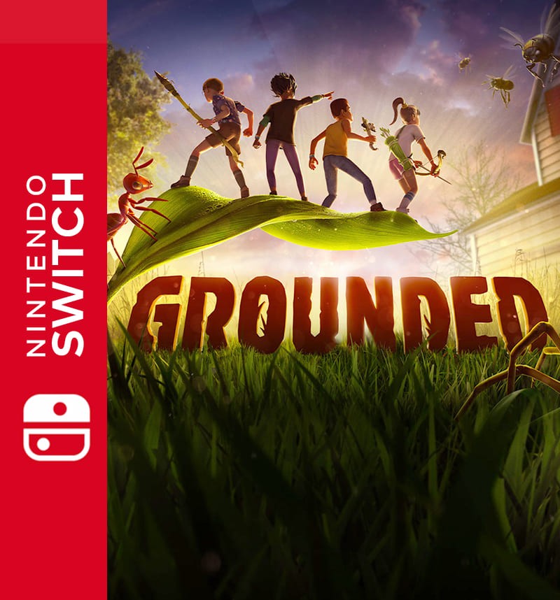 Grounded nintendo switch hotsell