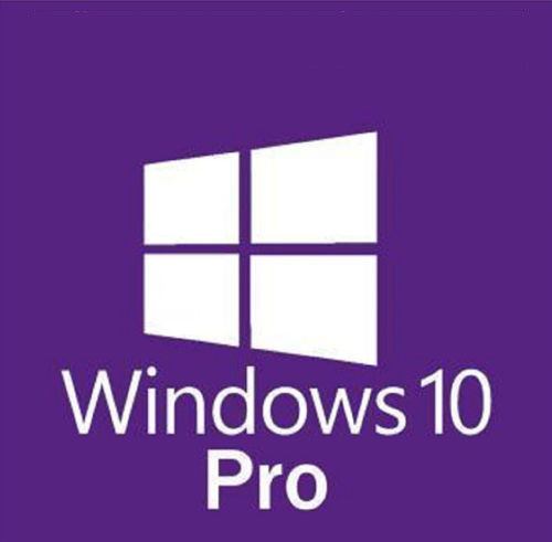 Windows 10 Professional CD Key (Digital Download)