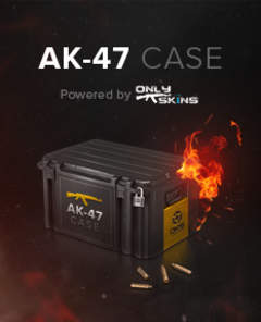 Counter Strike: Global Offensive Random AK-47 Skin