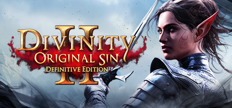 Divinity: Original Sin 2 Steam Account