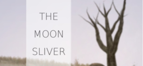 The Moon Sliver CD Key For Steam