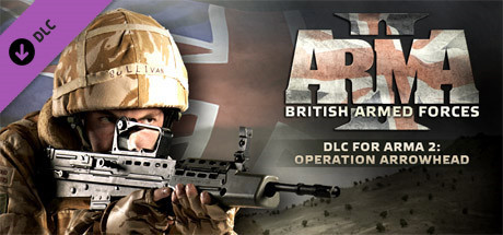 ARMA 2 (輸入版 UK) Steam 上的Arma 2