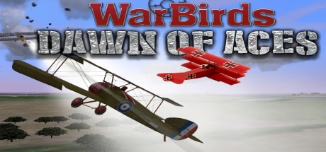 WarBirds Dawn of Aces  World War I Air Combat CD Key For Steam - 